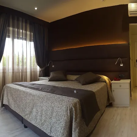 Regina アラッシオ